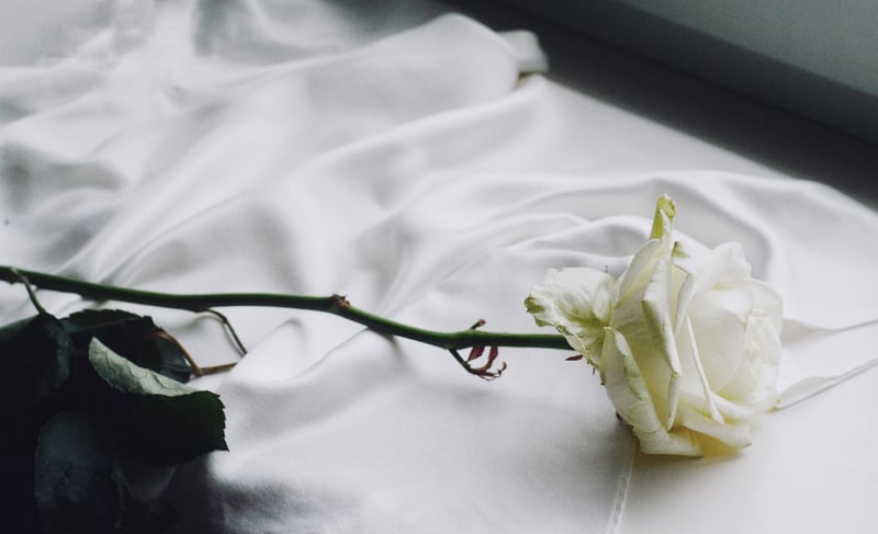 Flower Arrangement